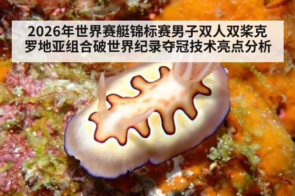 2026年世界赛艇锦标赛男子双人双桨克罗地亚组合破世界纪录夺冠技术亮点分析