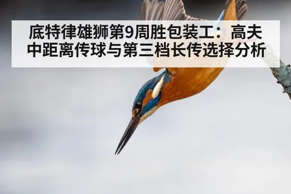 底特律雄狮第9周胜包装工：高夫中距离传球与第三档长传选择分析